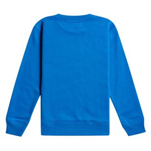 Sweat Bleu Garçon Billabong Stamp vue 2