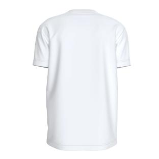 T-shirt Blanc Homme Calvin Klein Jeans Disrupted vue 2