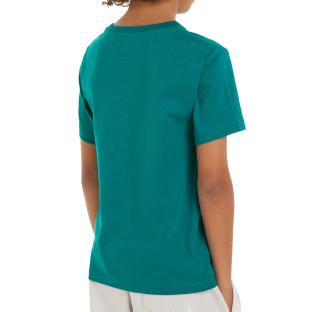 T-shirt Turquoise Garçon Calvin Klein Jeans IU0IU00543 vue 2
