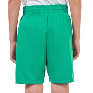 Short Vert Garçon Nike Multi+ vue 2