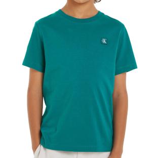 T-shirt Turquoise Garçon Calvin Klein Jeans IU0IU00543 pas cher