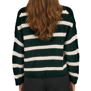 Pull Blanc/Vert à Motifs Femme JDY Stripe Pullover vue 2