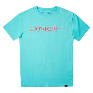 T-shirt Turquoise Garçon O'Neill Sanborn pas cher