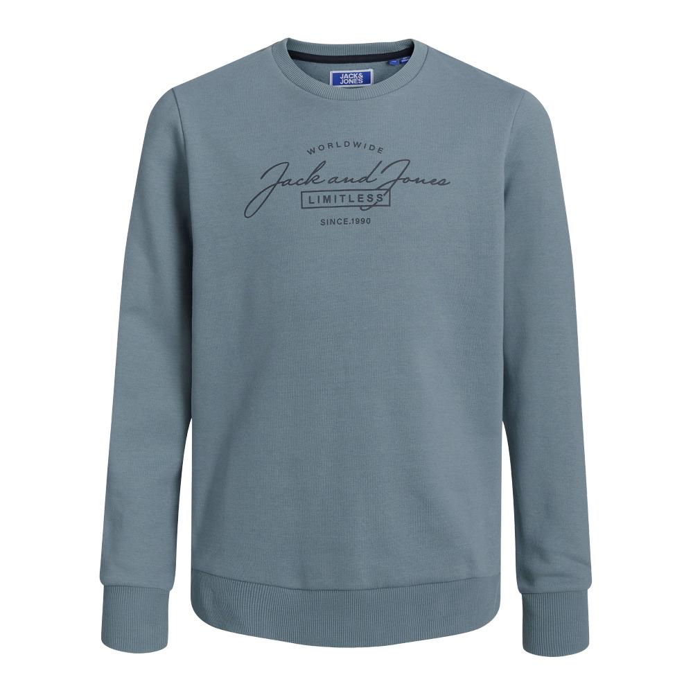 Sweat Marine Garçon Jack & Jones Ferris pas cher