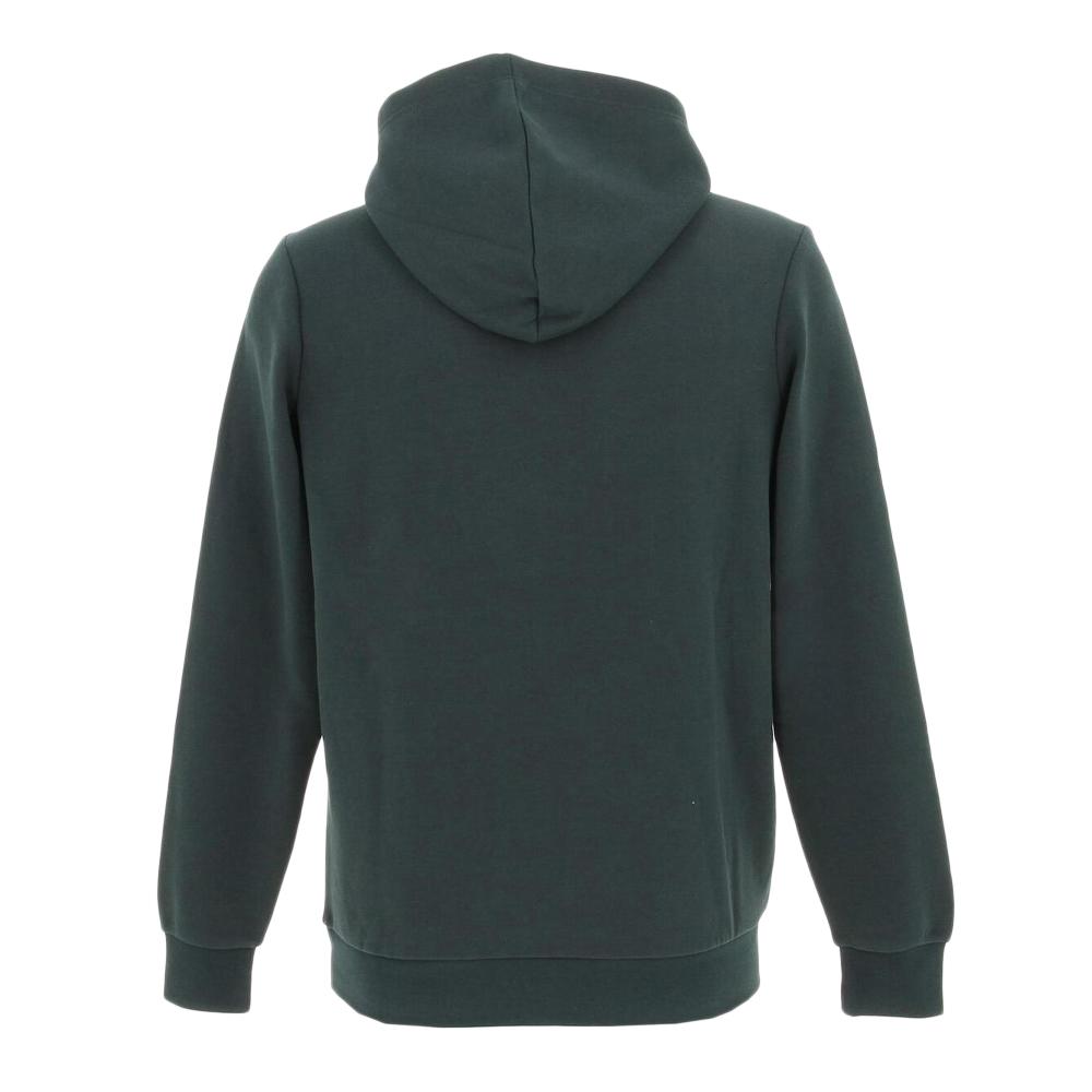 Sweat Vert Garçon Teddy Smith S-nark Hoody Jr vue 2