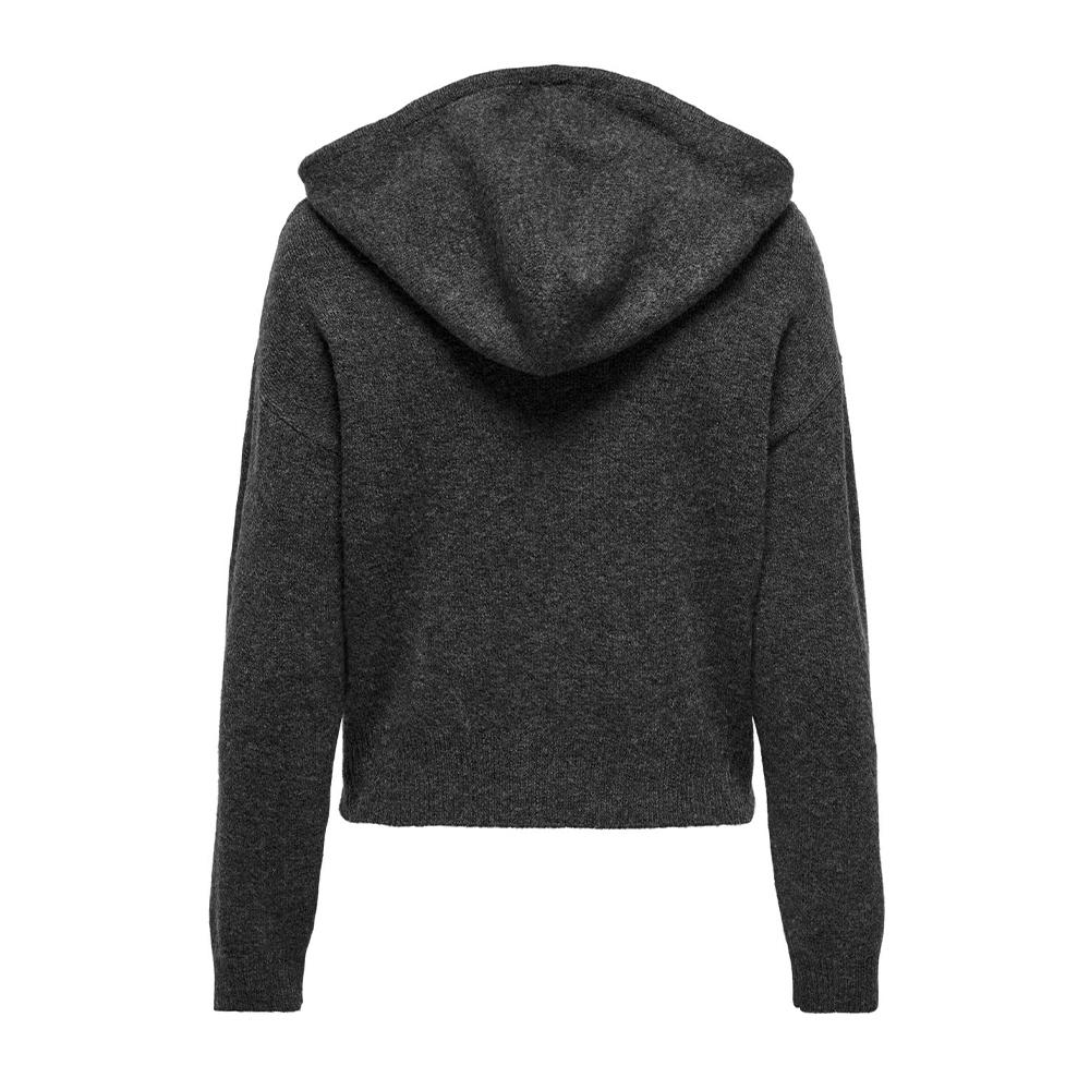 Pull Sweat à capuche Gris Femme JDY Life vue 2