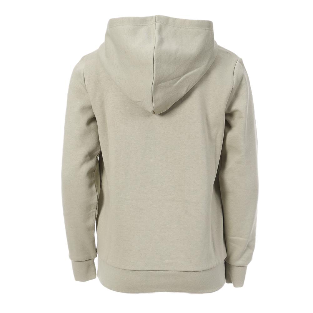 Sweat Vert Pale Garçon Teddy Smith S-nark Hoody Jr vue 2