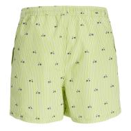 Short de bain Vert Homme JACK & JONES Vespa vue 2