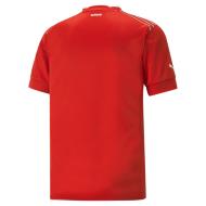 Suisse Maillot Réplica Homme Puma 2022/2023 vue 2