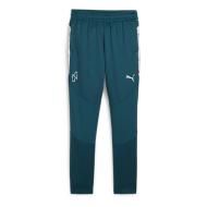 Pantalon d'entraînement Bleu Garçon Puma Neymar Creativity pas cher