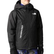 Manteau de ski Noir Homme The North Face Freedom Insulated pas cher