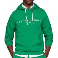 Sweat à capuche Vert Homme Tommy Hilfiger Logo Hoodie