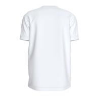 T-shirt Blanc Homme Calvin Klein Jeans Disrupted vue 2