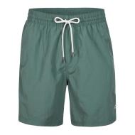 Short de bain Vert Foncé Homme O'Neill 200 pas cher