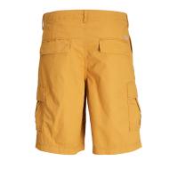 Short Moutarde Homme JACK & JONES Campaign vue 2