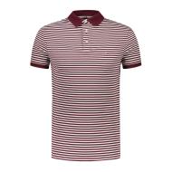 Polo Blanc/Bordeaux Homme Tommy Hilfiger 1985