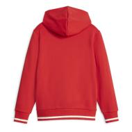 Sweat Capuche Garçon Puma Squad 676356 vue 2