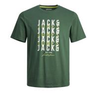 T-shirt Vert Homme Jack & Jones Delvin