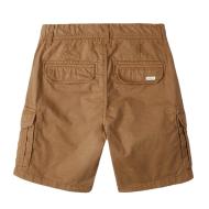 Short Marron Garçon O'Neill Cali Beach vue 2