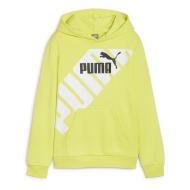 Sweat Vert Garçon Puma 679256