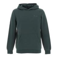 Sweat Vert Garçon Teddy Smith S-nark Hoody Jr