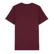 T-shirt Bordeaux Homme Teddy Smith 11017024D vue 2