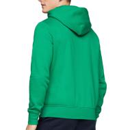 Sweat à Capuche Vert Homme Tommy Hilfiger Logo Hoody vue 2