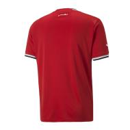 Egypte Maillot Réplica Domicile Homme Puma 2022/2023 vue 2