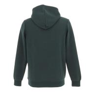 Sweat Vert Garçon Teddy Smith S-nark Hoody Jr vue 2