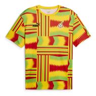 Ghana Maillot Training Jaune/Rouge/Vert Homme Puma 2023/2024 pas cher