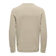 Pull Beige Homme Only & Sons Life Reg vue 2