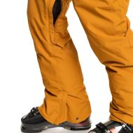 Pantalon de snow Jaune Homme Quiksilver Estate vue 3