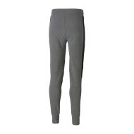 Jogging Gris Homme Puma Fd Bmw Sw vue 2