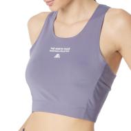 Brassière Violette/Noir Femme The North Face NF0A7ZAZN142 pas cher