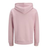 Sweat à Capuche Rose Homme Jack & Jones Jortime vue 2