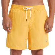 Short de bain Jaune Homme O'Neill Vert 16