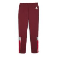 Milan AC Pantalon de survêtement Bordeaux Homme Puma 23/24 vue 2