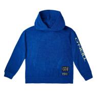 Sweat à Capuche Bleu Garçon O'Neill Brights Terry pas cher