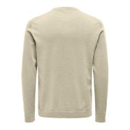 Pull Beige Homme Only & Sons 12Solid vue 2