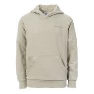 Sweat Vert Pale Garçon Teddy Smith S-nark Hoody Jr