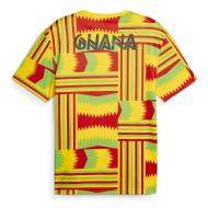 Ghana Maillot Training Jaune/Rouge/Vert Homme Puma 2023/2024 vue 2