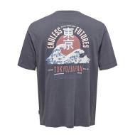 T-shirt Gris Homme Only & Sons Keane Rlx Print vue 2