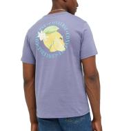 T-shirt Mauve Homme Converse Fresh Lemon vue 2