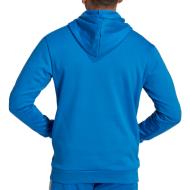 Sweat à capuche Bleu Homme Adidas Hoodie vue 2