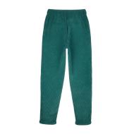 Pantalon en Velours Vert Garçon Teddy Smith 17N vue 2