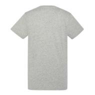 T-shirt Gris Homme Schott Vintage vue 2