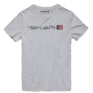 Tee shirt gris garçon Teddy Smith Clip