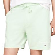 Short Vert Homme Tommy Hilfiger Entry Graphic pas cher