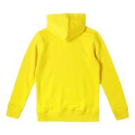 Sweat Jaune Garçon O'Neill N4750004 vue 2